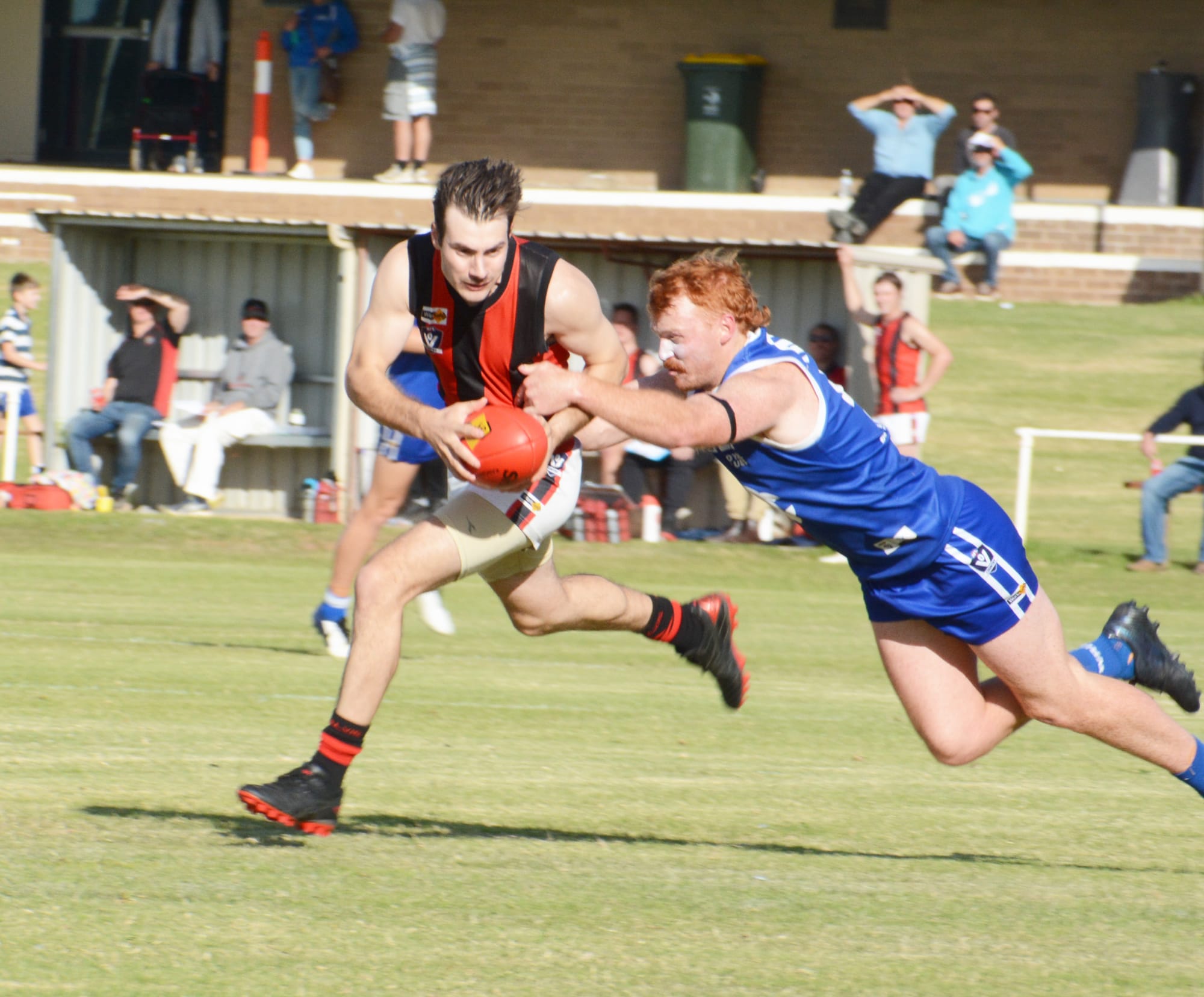 Royal Blues Widen the Gap