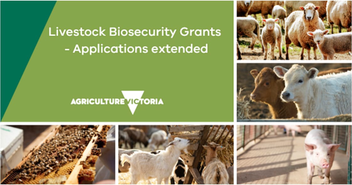 Biosecurity Grants: Applications Extended
