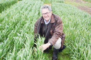 BCG’s Trial Review Day, Friday Next