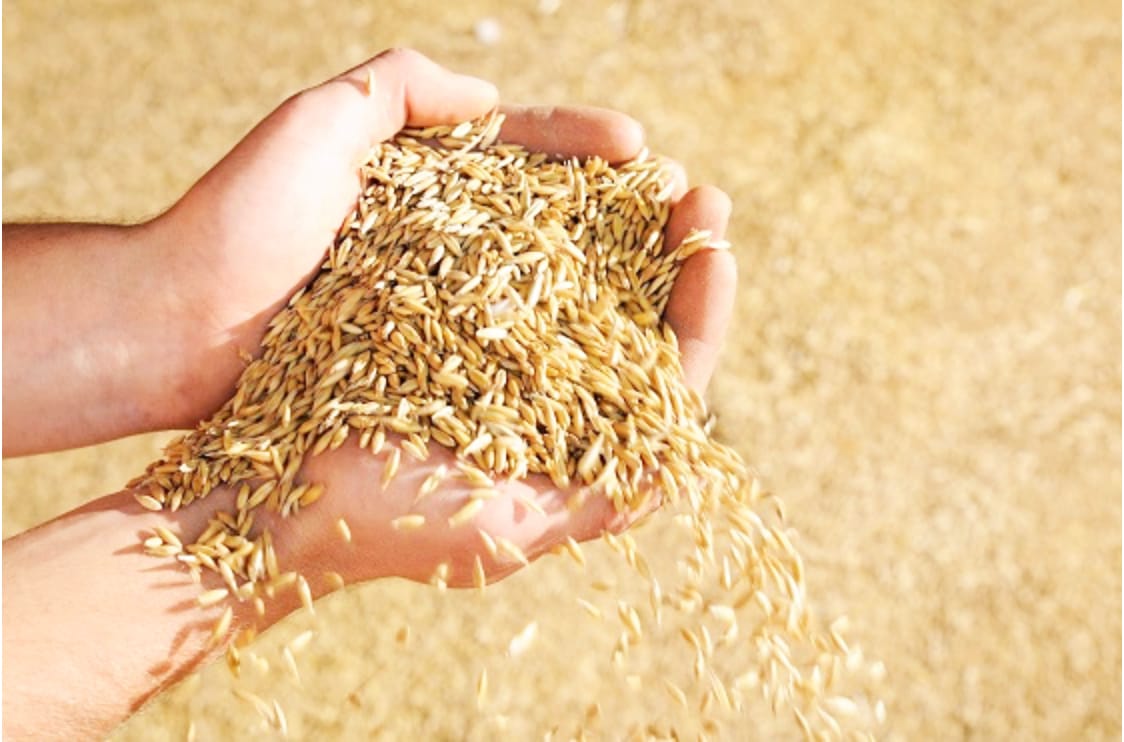 Getting Stock Safely On to Grain