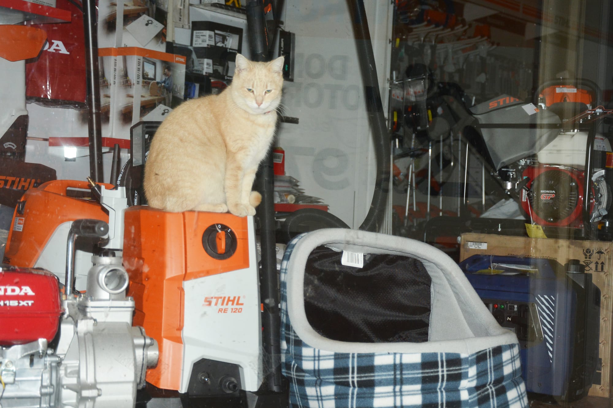 Tuesday, July 27, 2021