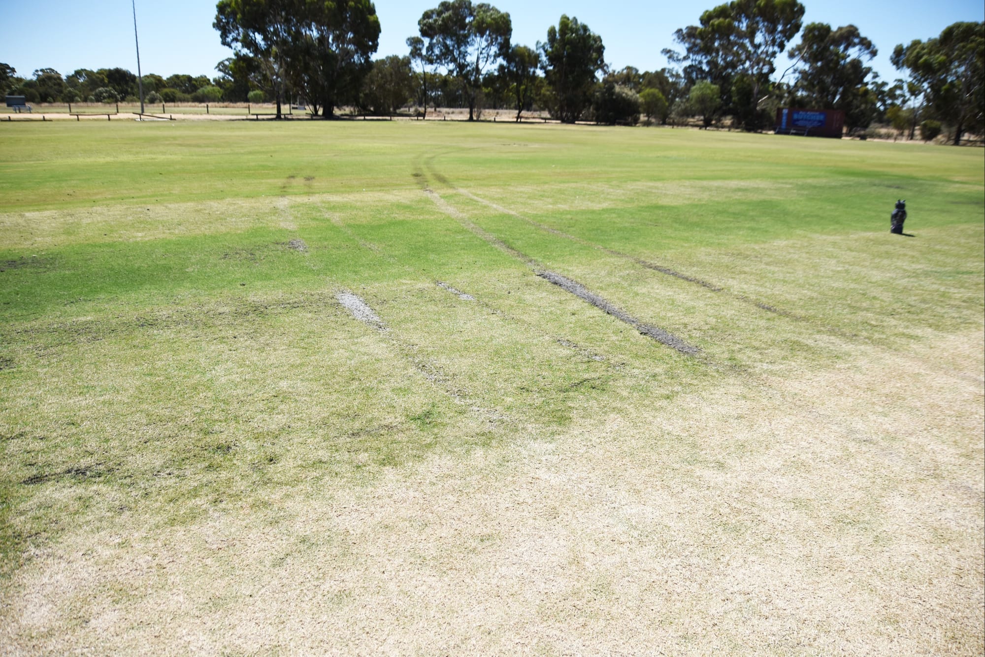 Senseless Skid Marks Scar Jeffcott Ground