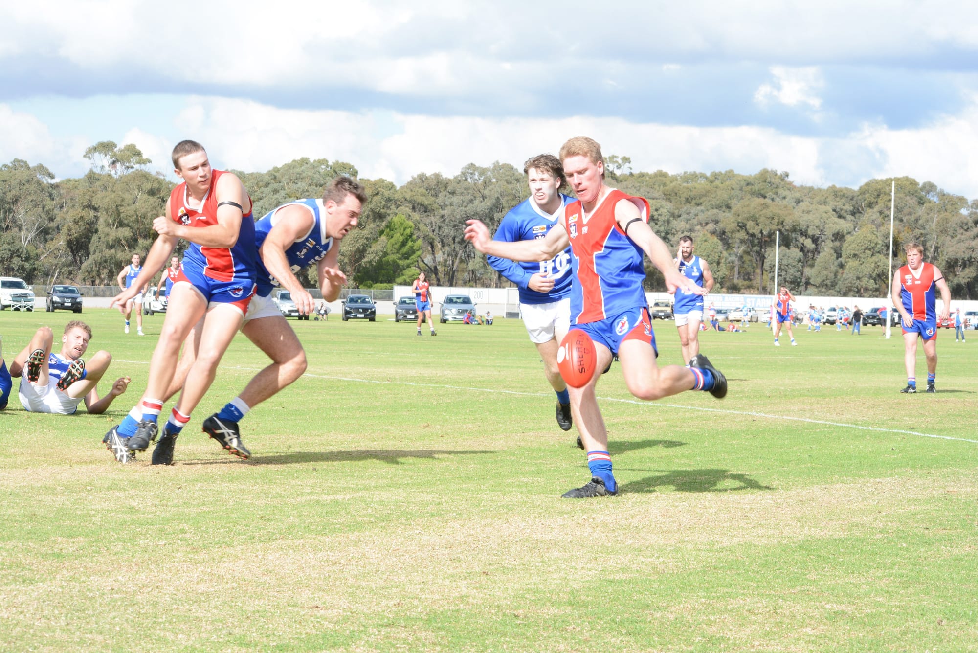 Bulls to Test Royal Blues