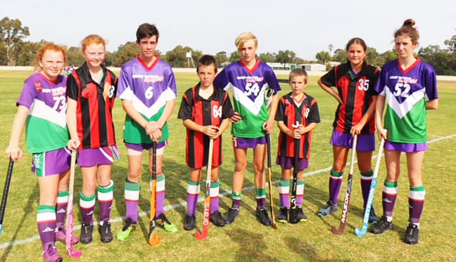 North-Central Hockey