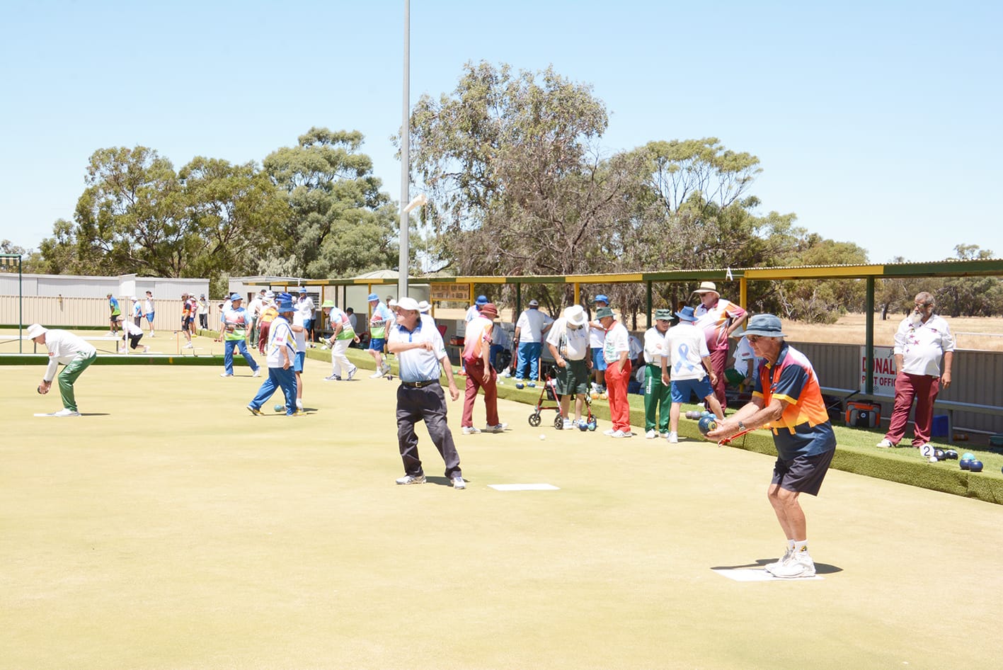 Kangaroo Flat Seizes the Day