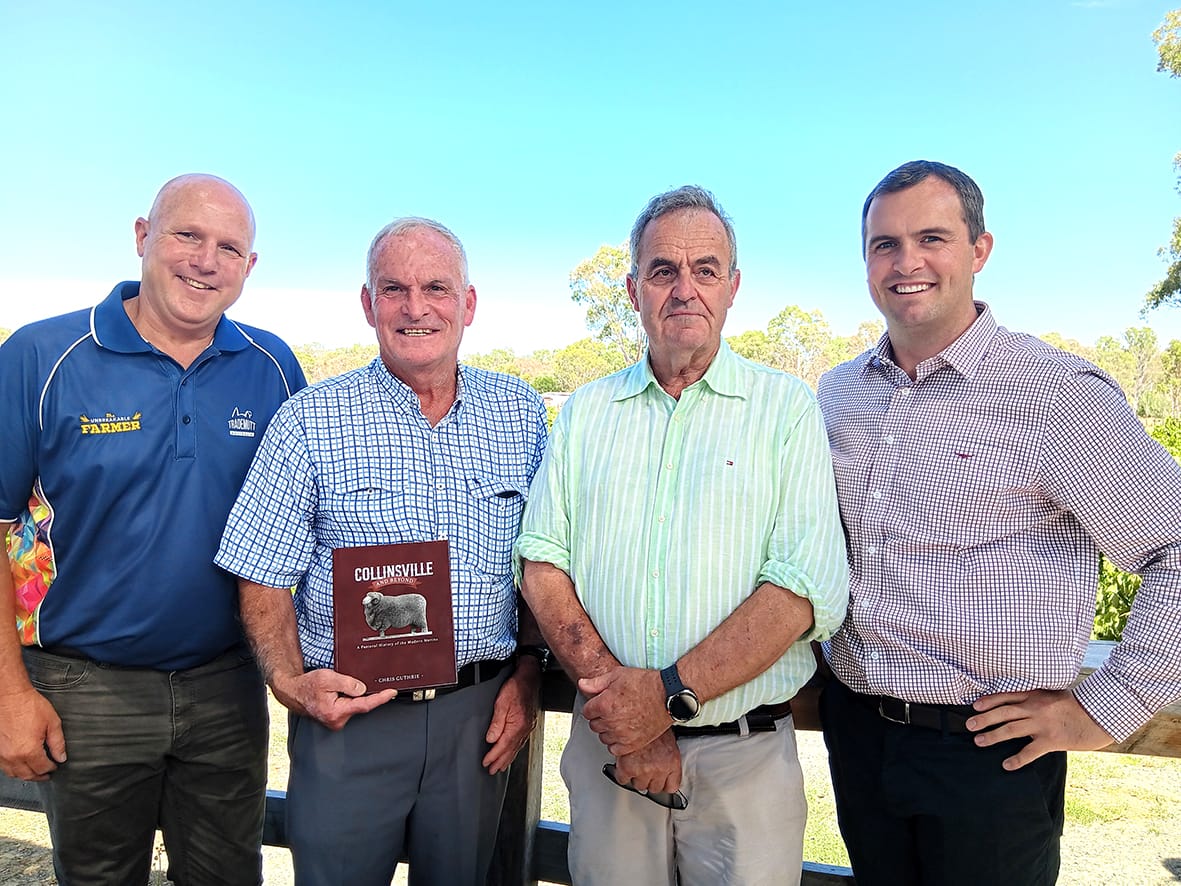 New Book Celebrates the Modern Merino