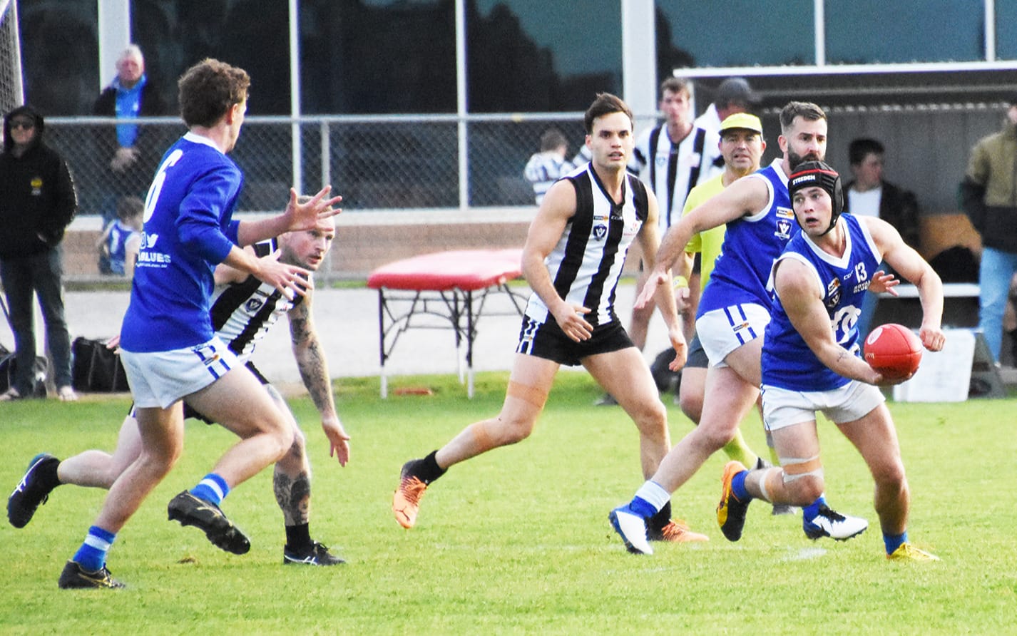 Donald Stung into Action