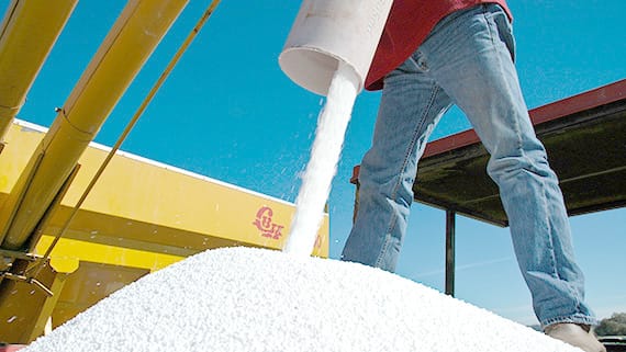 New Fertiliser Resources Amid Shortages