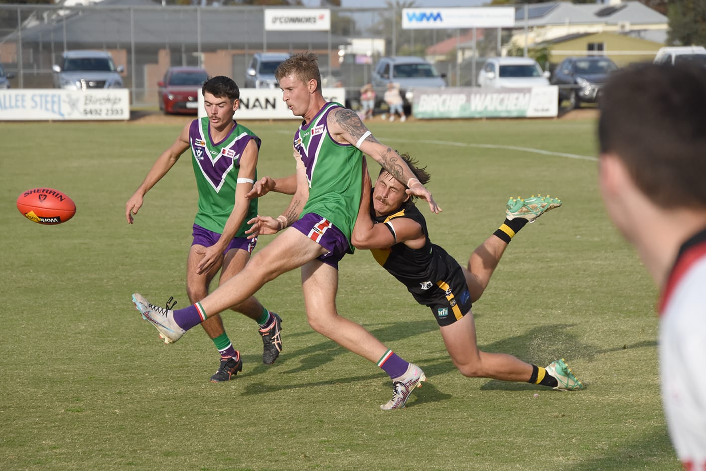 Undefeated Bulls Tame Tigers