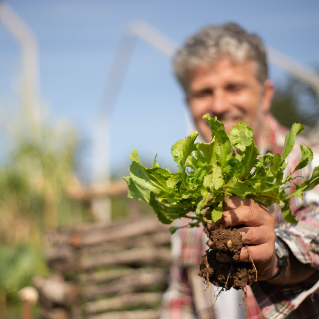 Big Boost for Victoria’s AgTech Industry