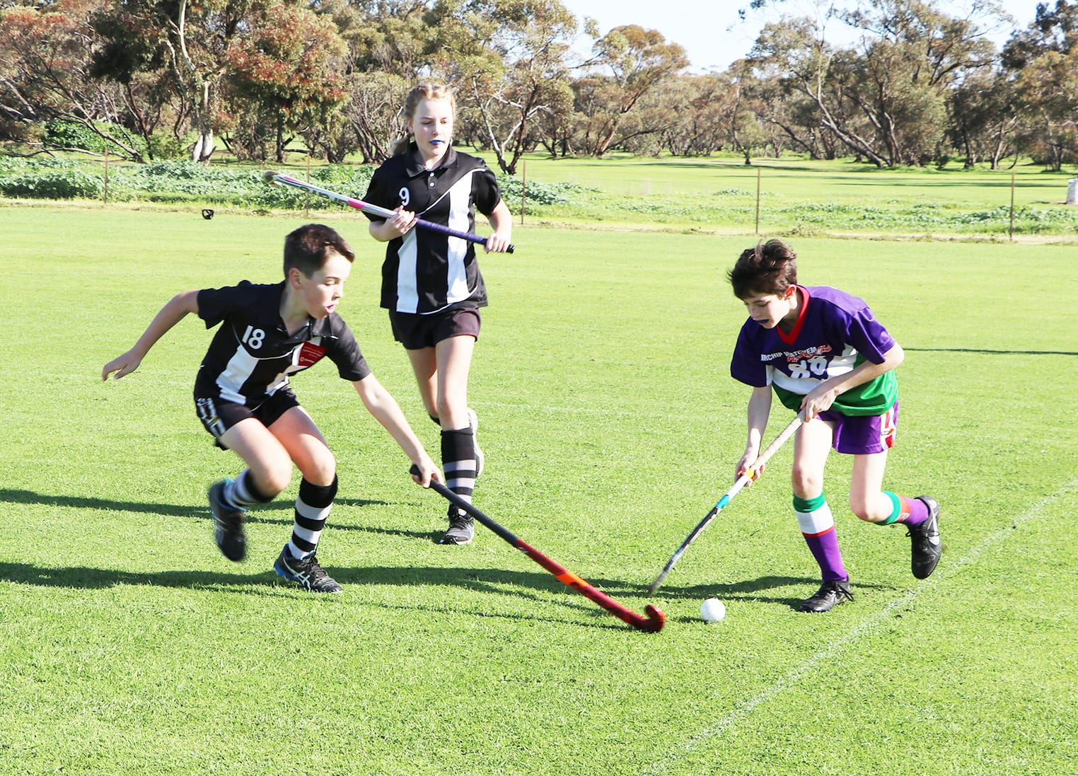 North-Central Hockey