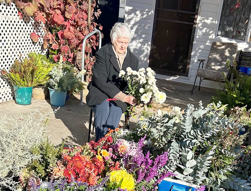 Shirley’s Passion is Blooming