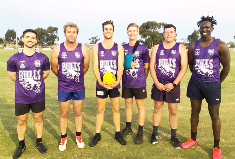 Bulls Ready to Charge