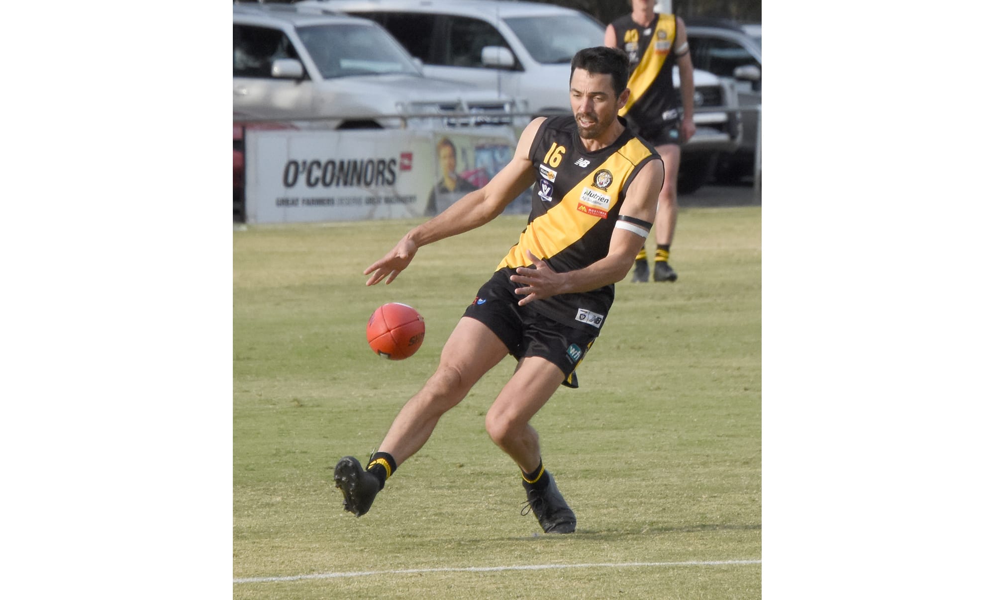 300 Up for Terrific Tiger