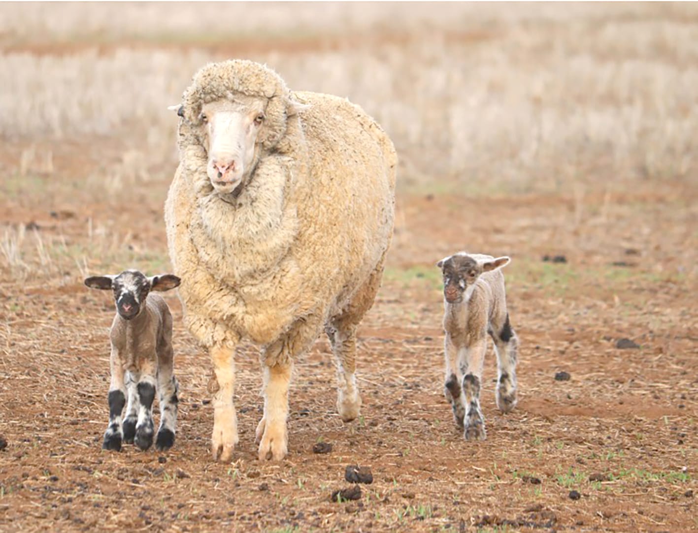 It’s Community Calendar Time