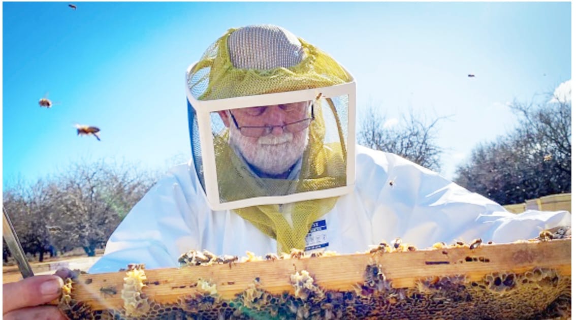 Varroa Mite Information: Pollination Season Effort
