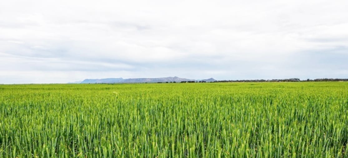 Innovative Recycled Water Project Gets Green Light