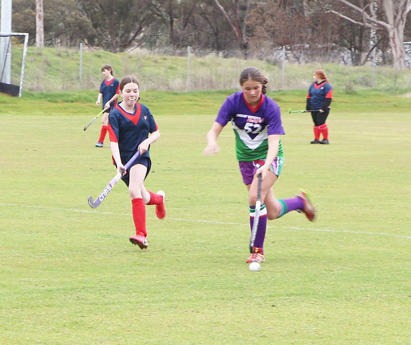 North-Central Hockey