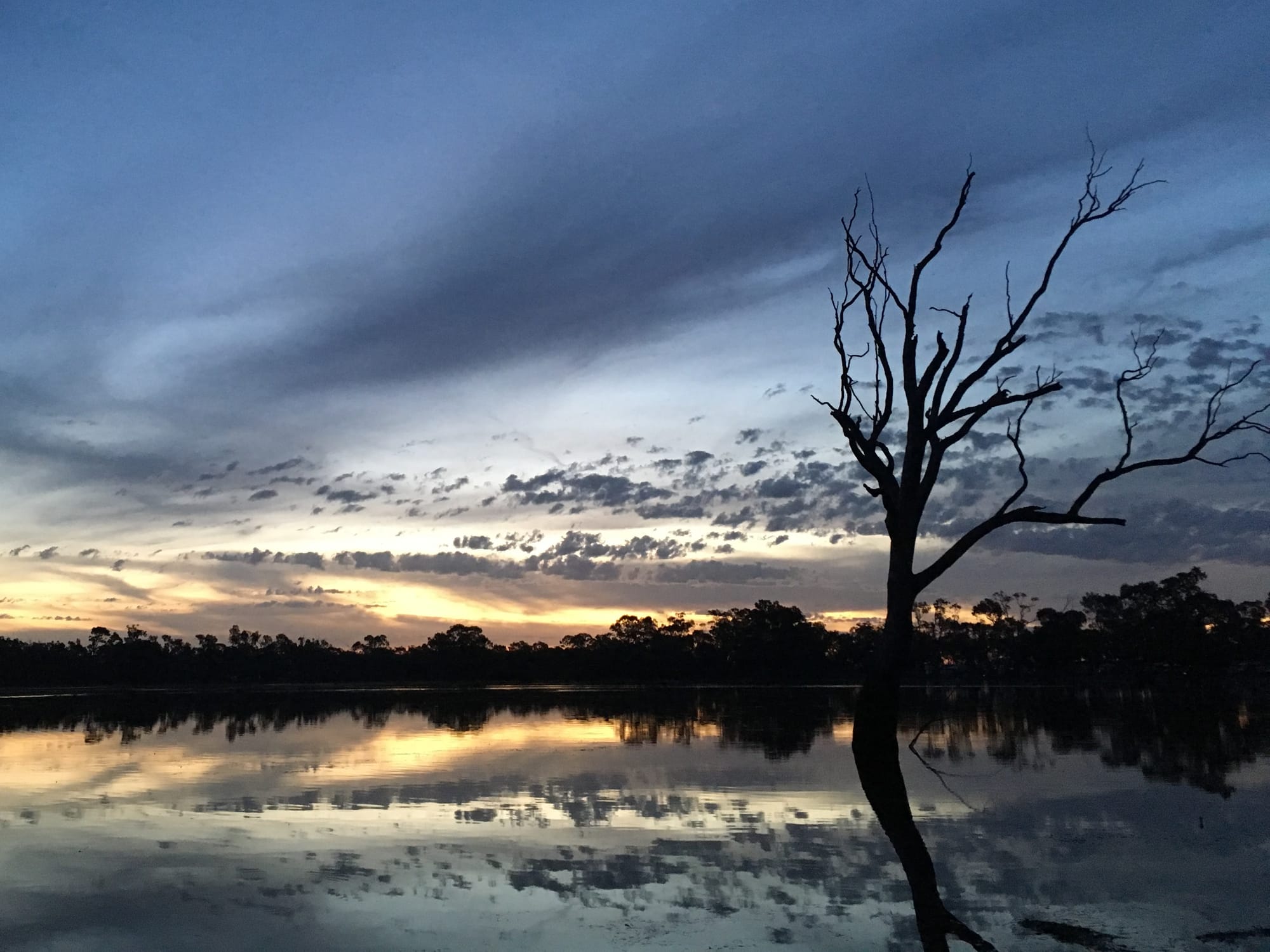 Locals Holiday Close to Home