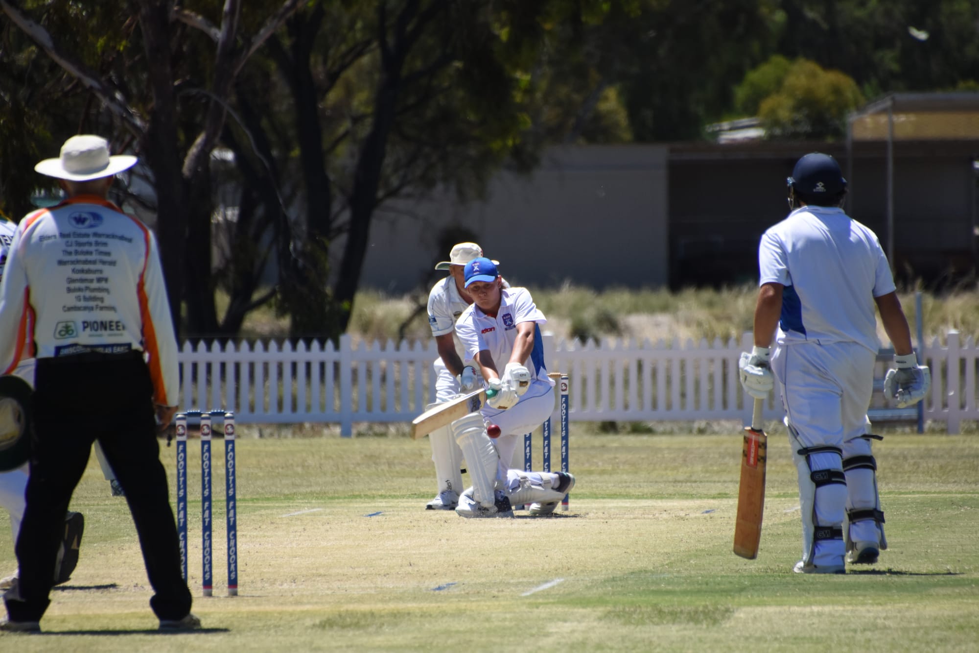 The Other Noah Would Be Impressed