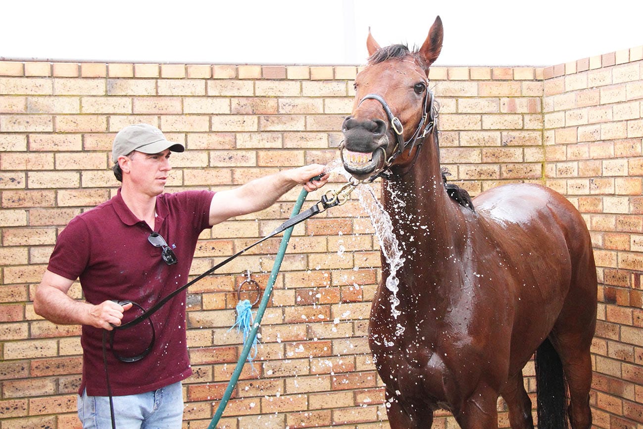 Camera at the Donald Cup
