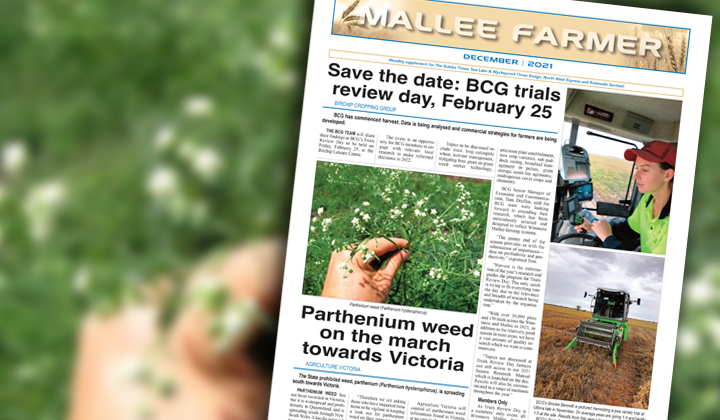 DECEMBER - Friday, December 3, 2021