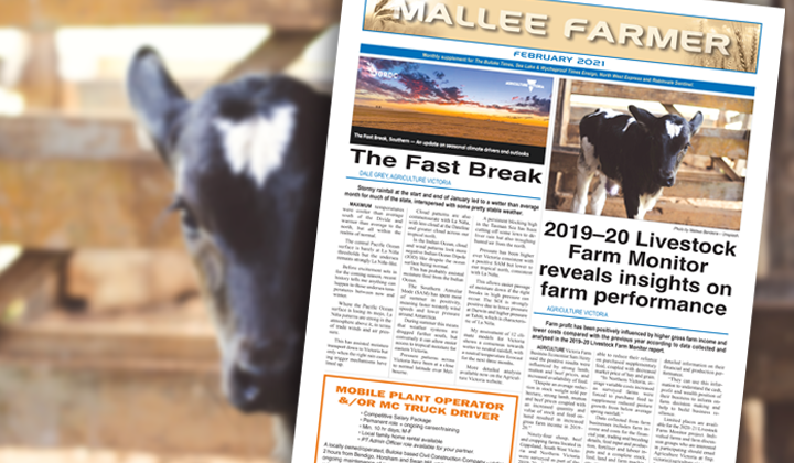 FEBRUARY - Friday, February 12, 2021