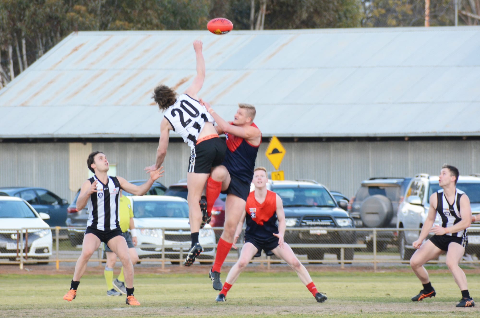 Magpies Make Their Mark