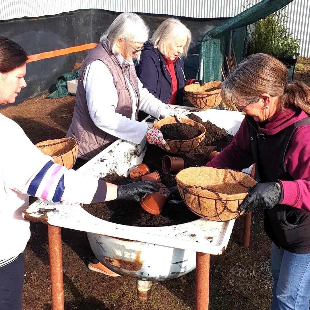 Bec, Carol, Joy, and Amanda.