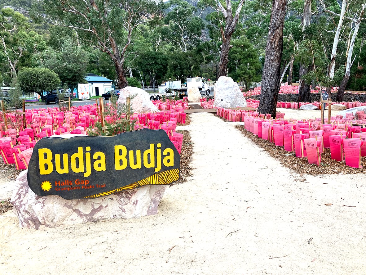 Supporting Grampians Recovery: Better Access to Walks