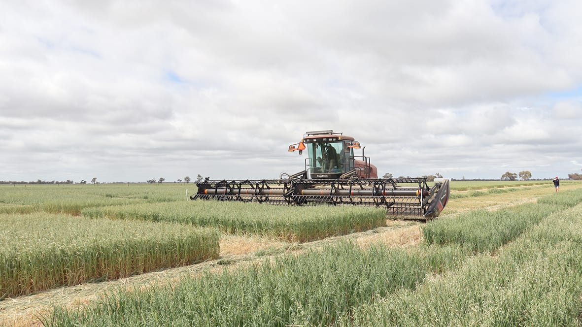 Producers Urged to Focus on Quality, Storage and Safety