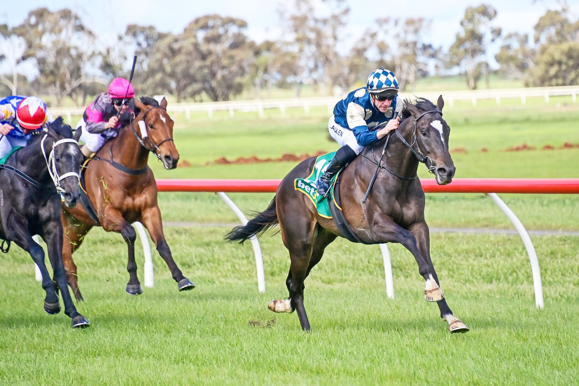 The Winner? Donald Race Track!