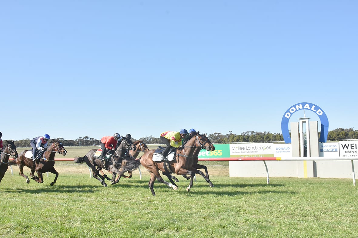 Spring is in the Air