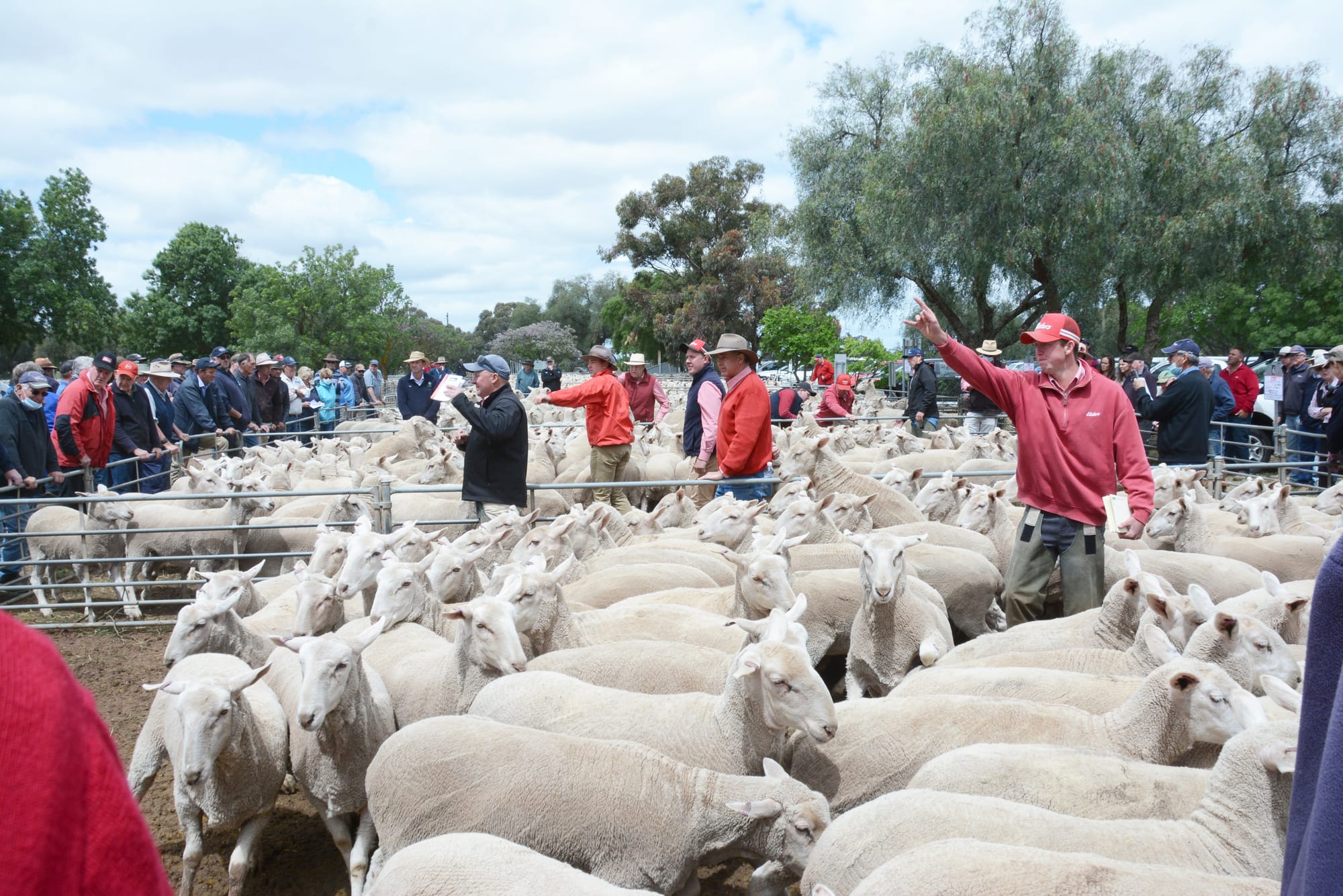 Keen Demand Pushes Prices High