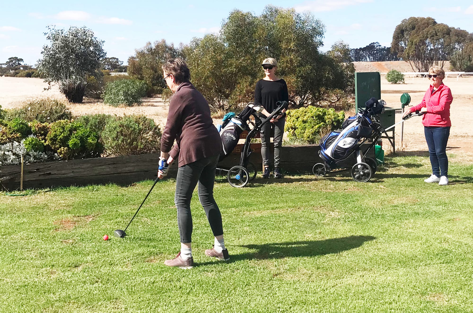 Wycheproof Ladies Hit Off