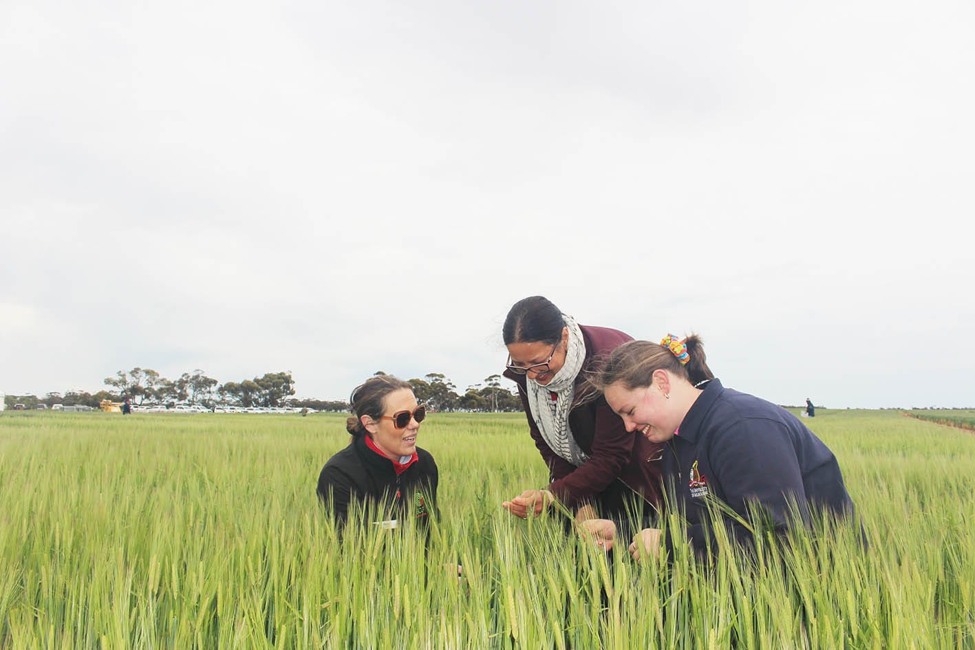 BCG Trials Review Day, February 24