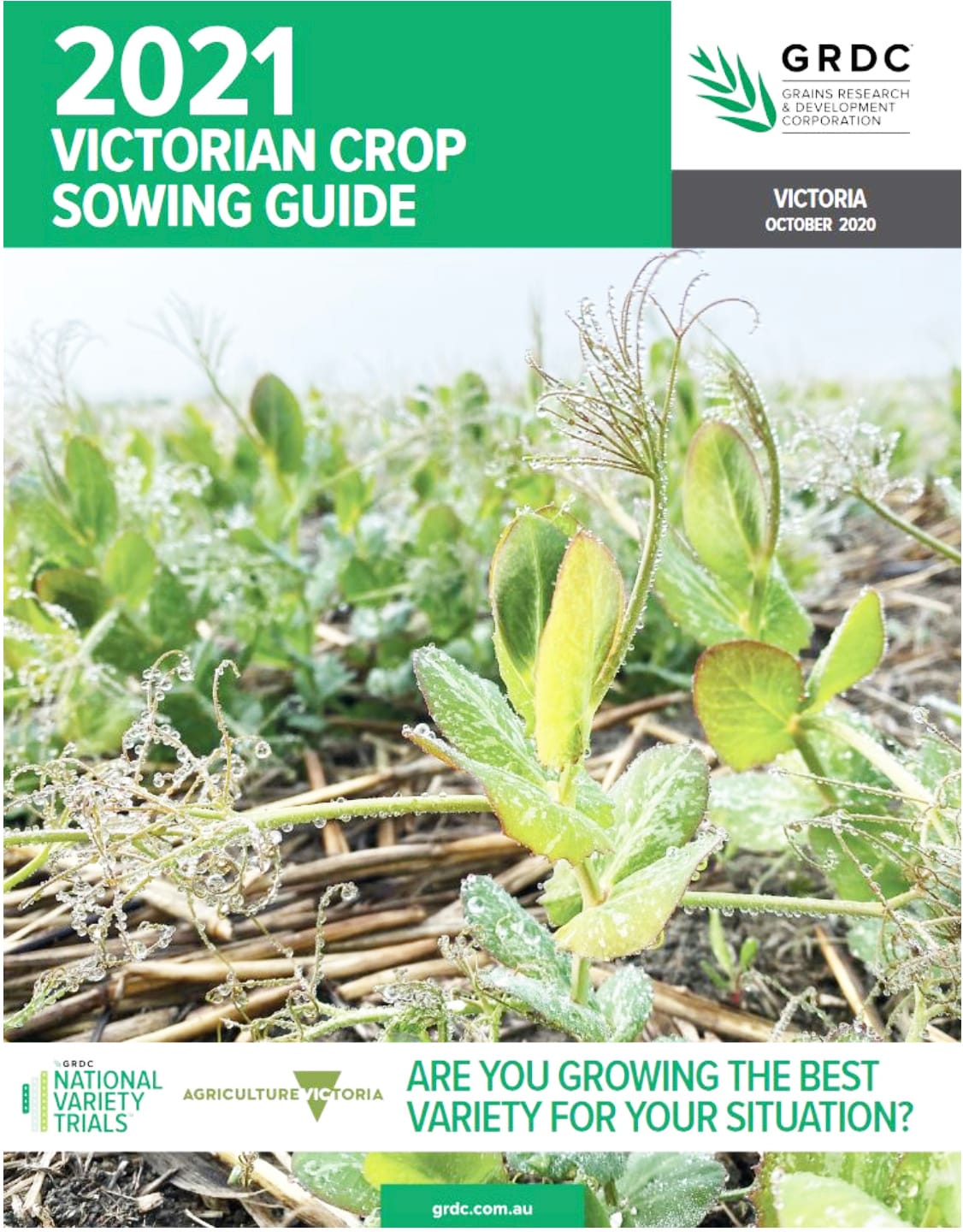 Be in the Know On What to Sow