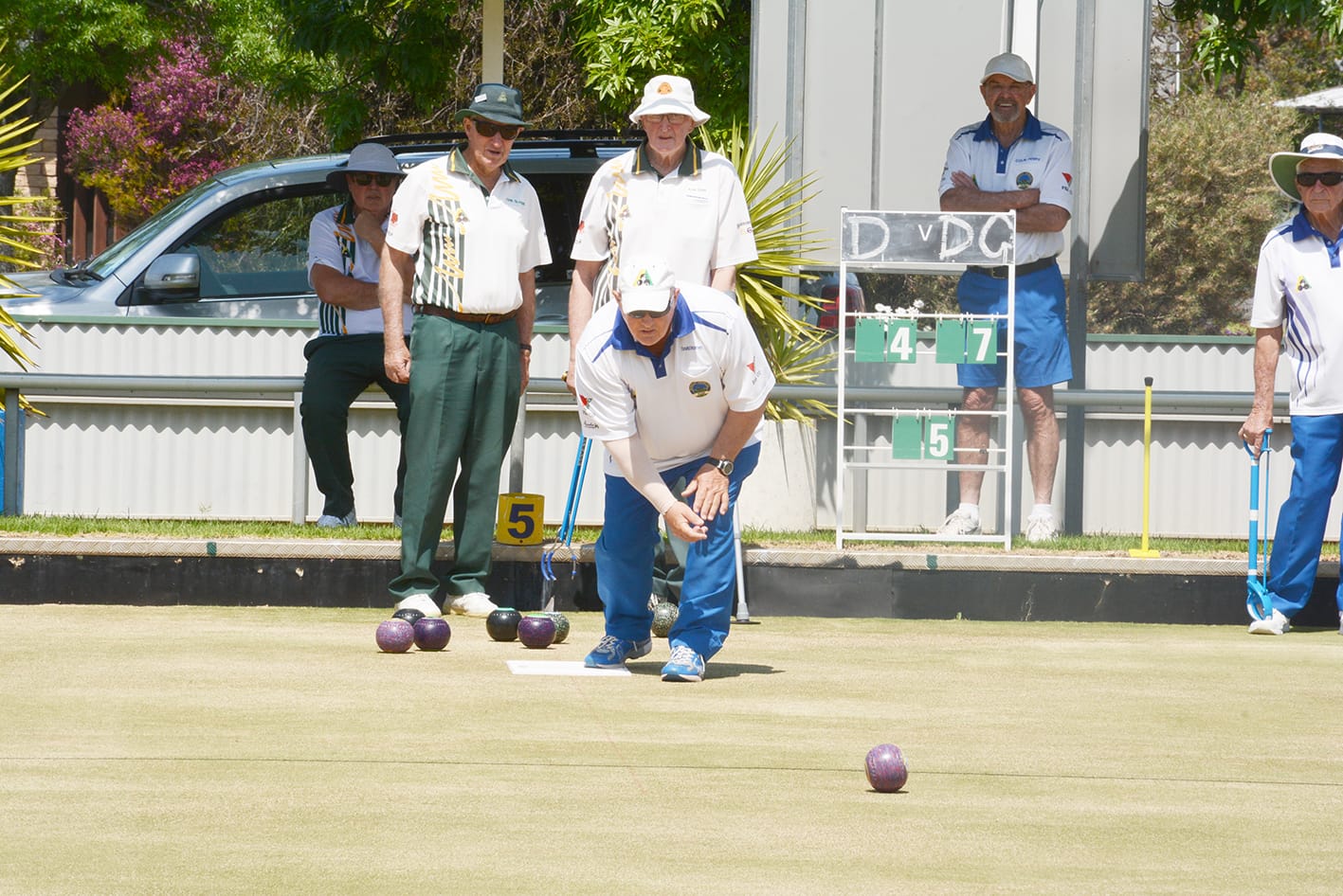 Mixed Results for Donald Golf Bowlers