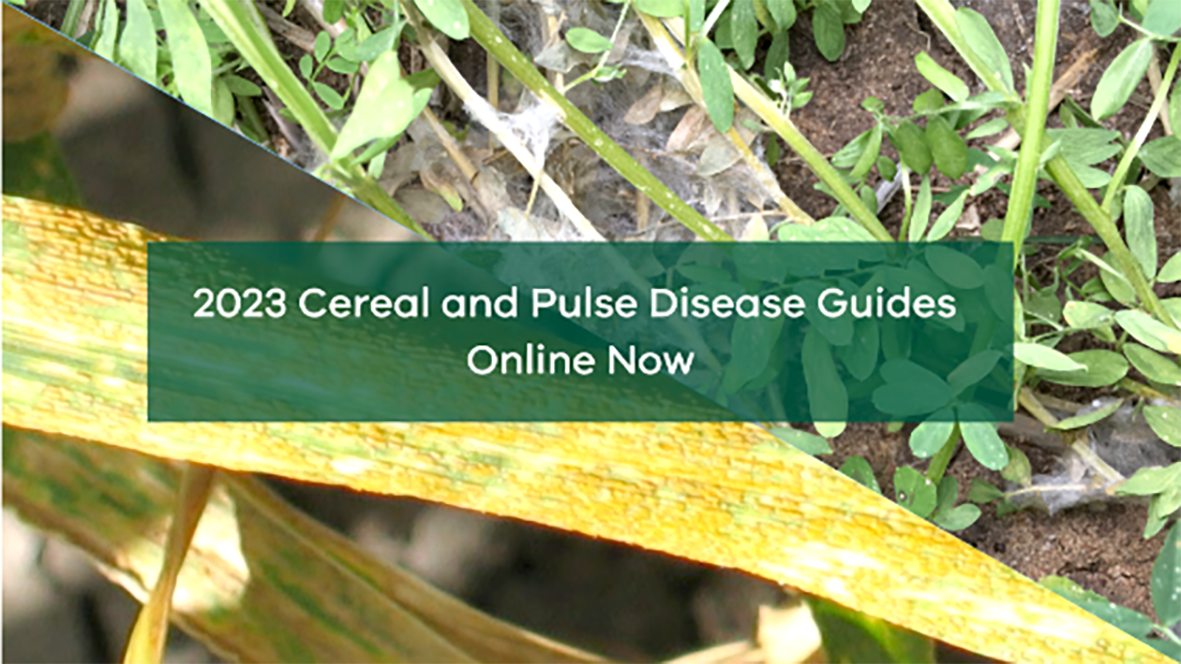 Latest Crop Disease Guides Now Online
