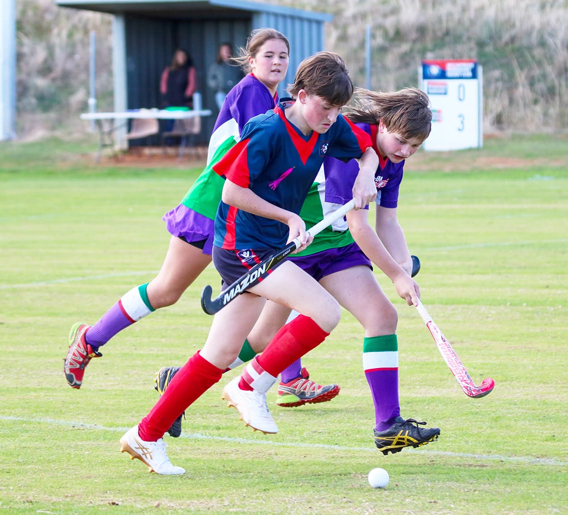 North-Central Hockey