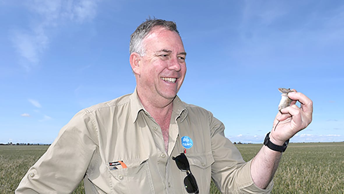 Reduce Harvest Losses to Minimise Mouse Risk