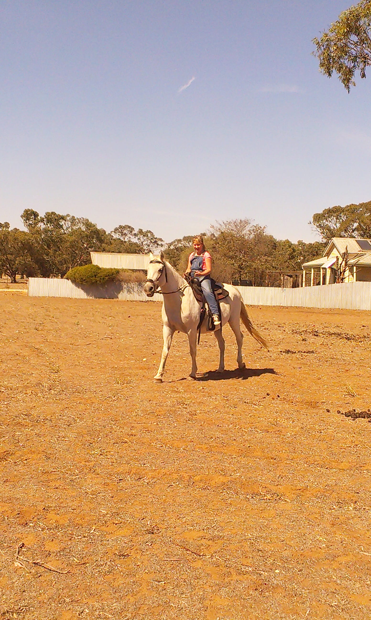 Ian and Christine Bailey’s granddaughter, Ava, takes the reins for the first time on Percy at their Bunker Road home.
