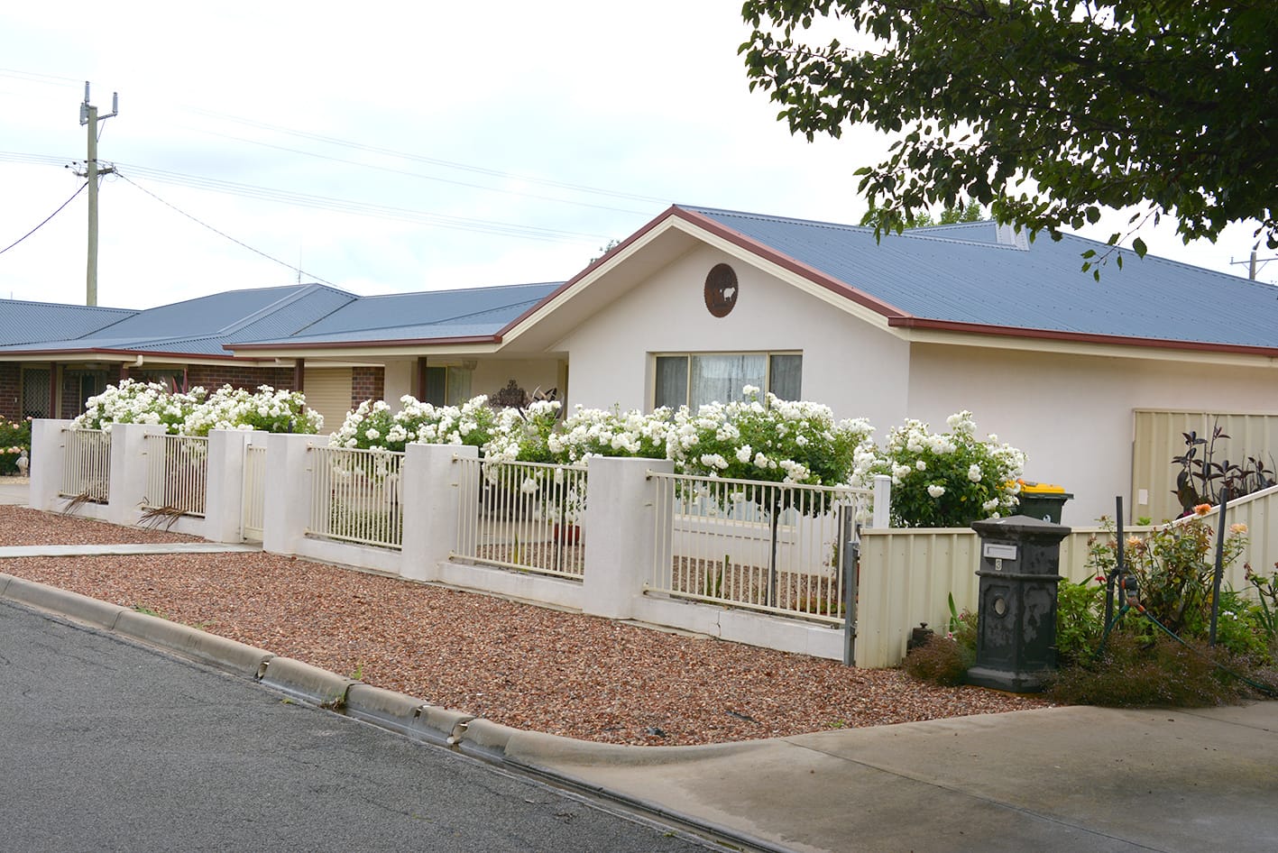 Editorial: A Christmas Dream