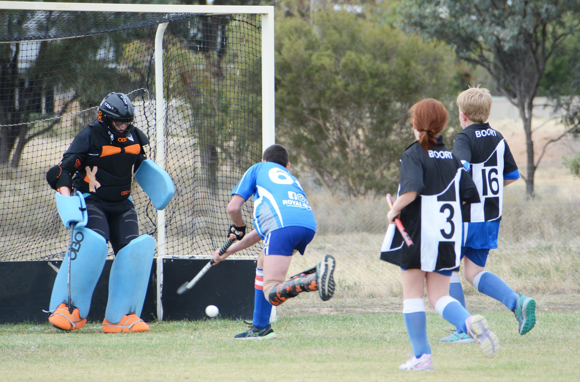 Royal Blues Return to the Hockey Field