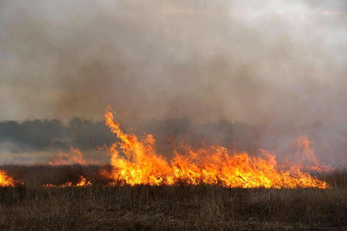 Reduce Risk This Autumn: Register Burn-Off Online