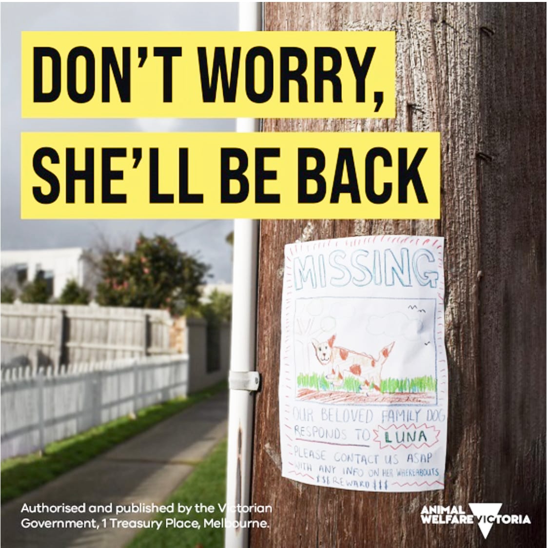 Educating Dog Owners on Confining Their Dog