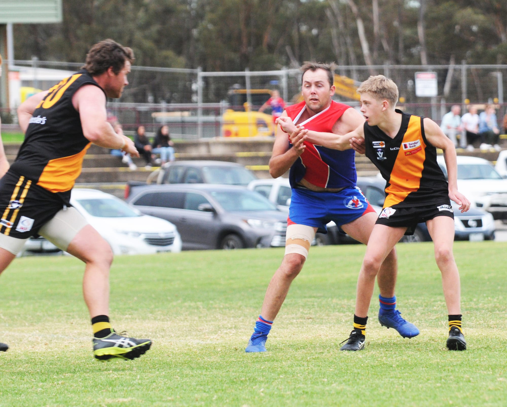 Insatiable Appetite Drives Tigers