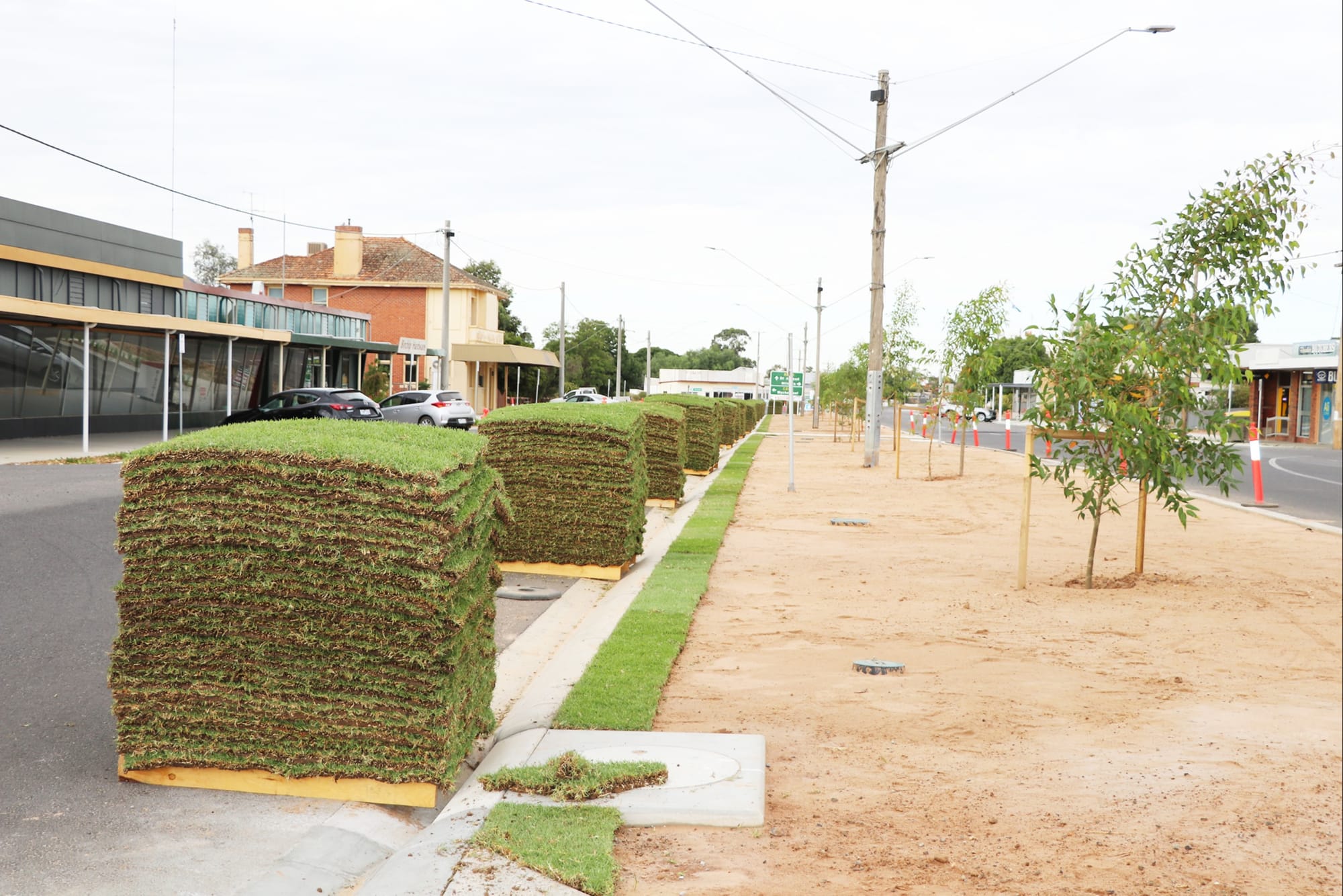 Then There Was Grass