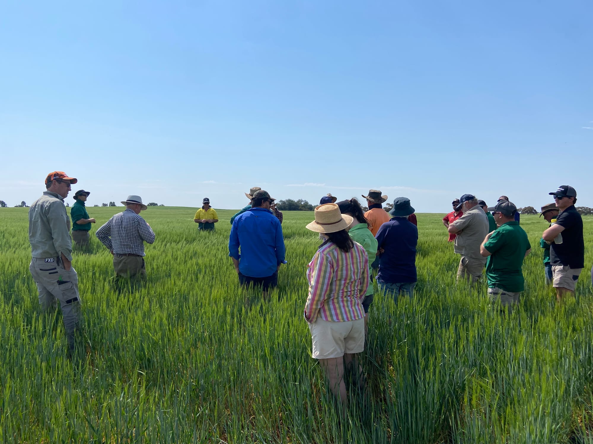 A Program Cultivating Farm Business Futures