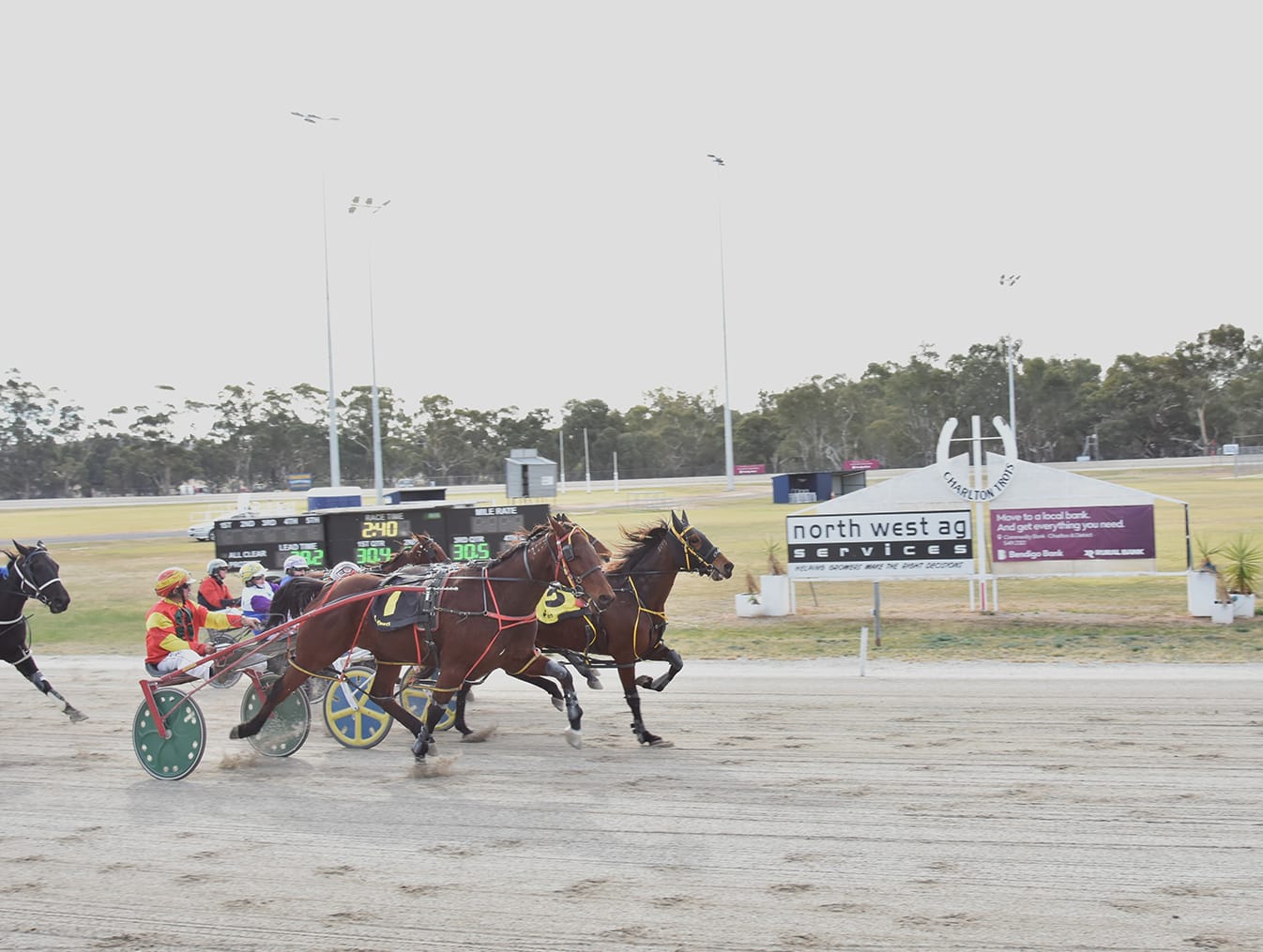 Changes Needed in Harness Racing